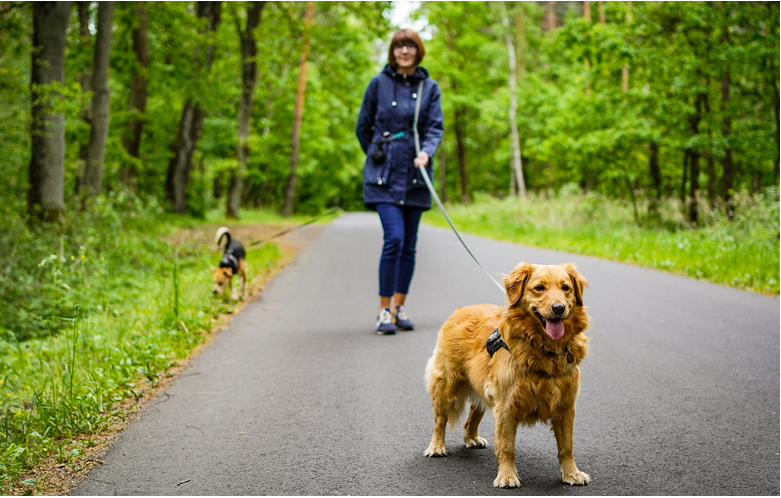 The Benefits of Outdoor Exercise