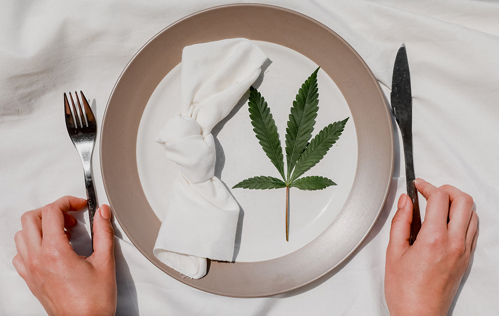 Guide: CBD for Appetite | Zebra CBD