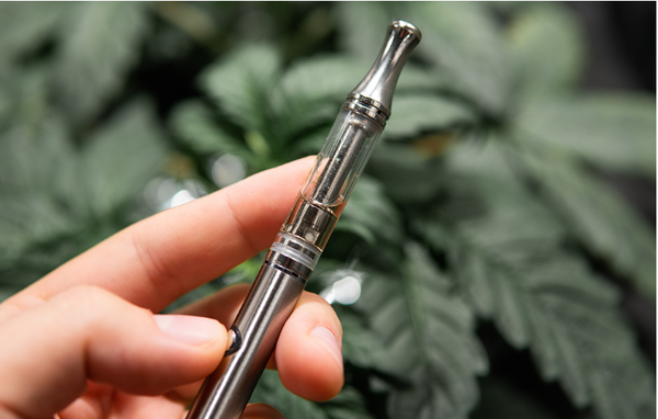 What are CBD pens? | Zebra CBD What are CBD pens? | Zebra CBD