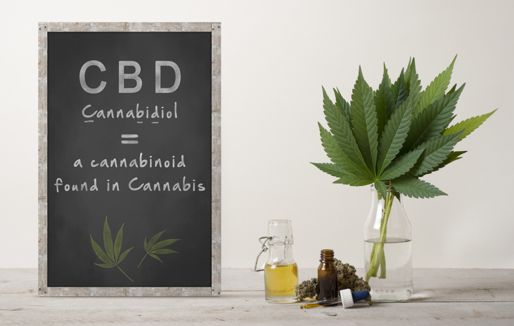 blackboard and cannabis leaves and oil