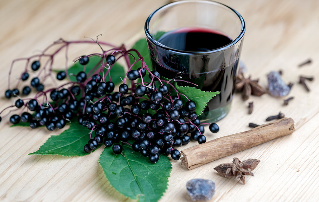 elderberries and elderberry tea