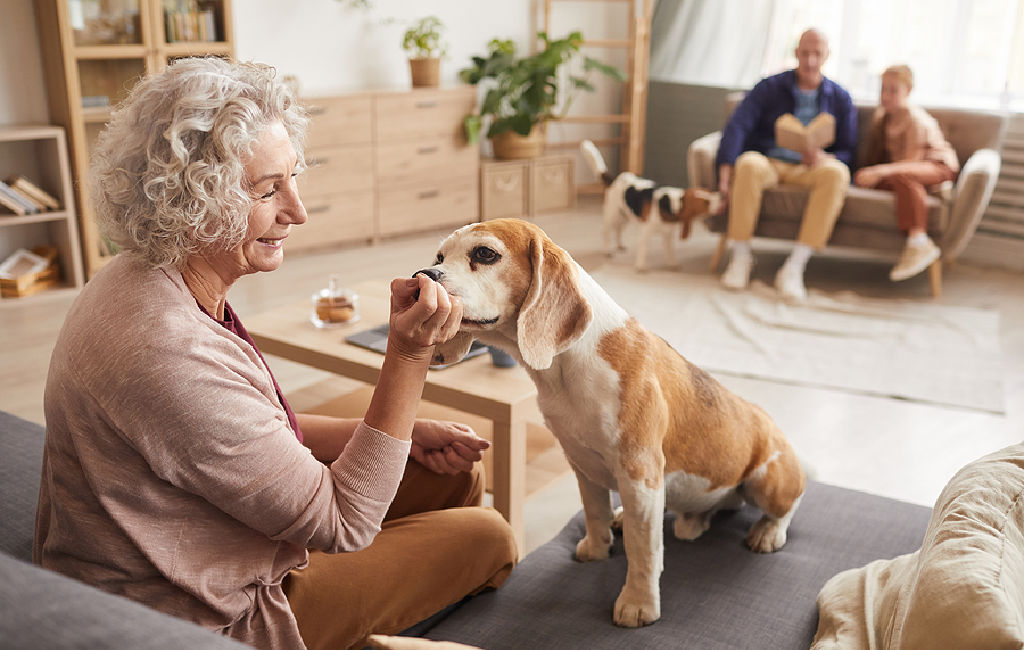 Woman feeding CBD chew to her dog.
