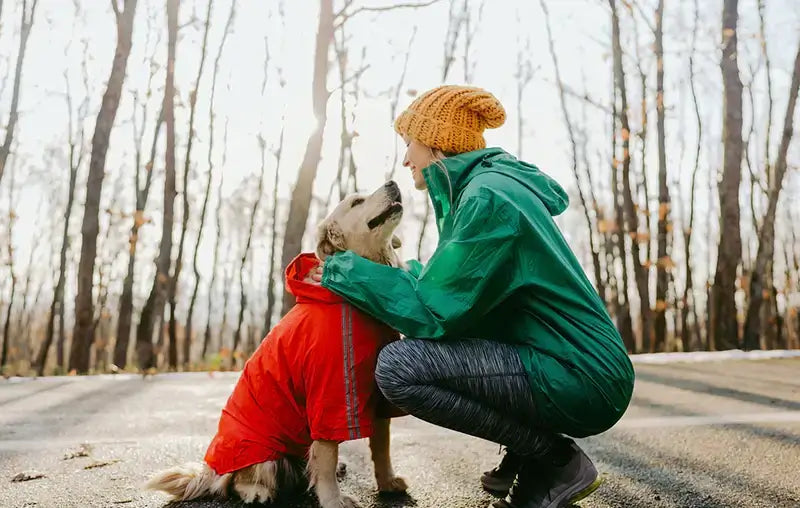 11 Ways How to Keep Your Dog Warm This Fall