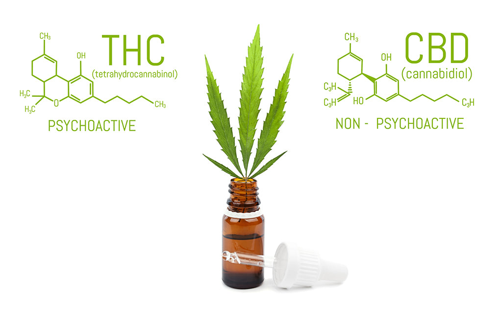 thc vs cbd chemical makeup