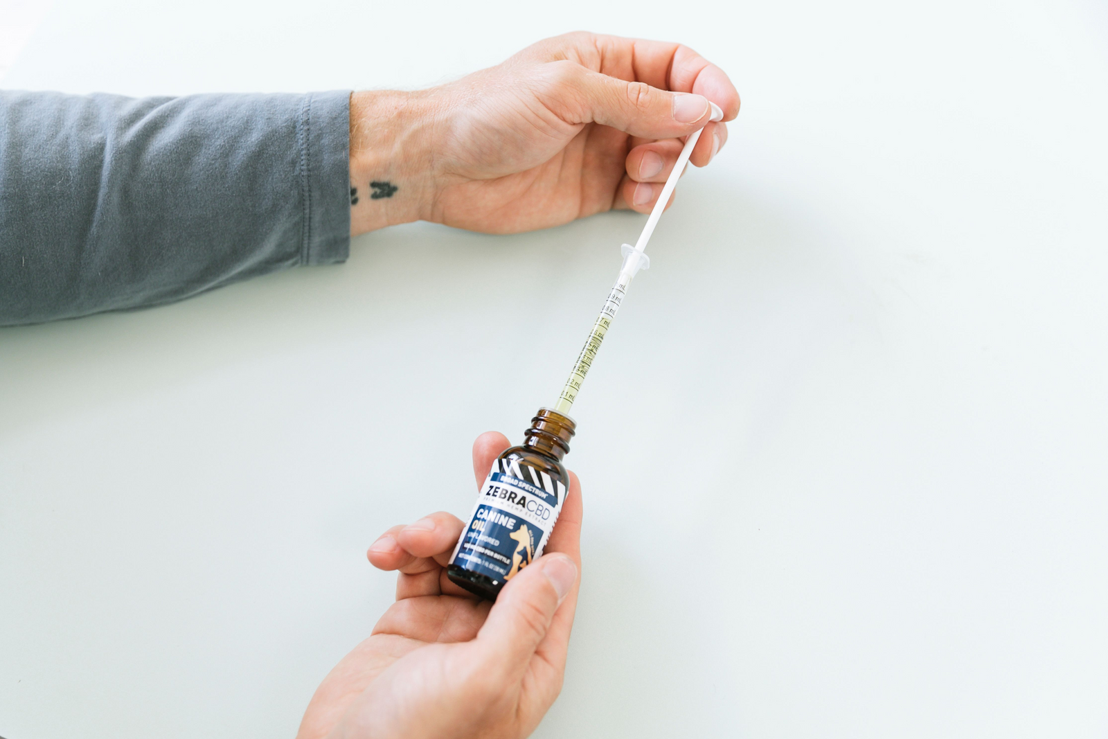dog cbd oil dose