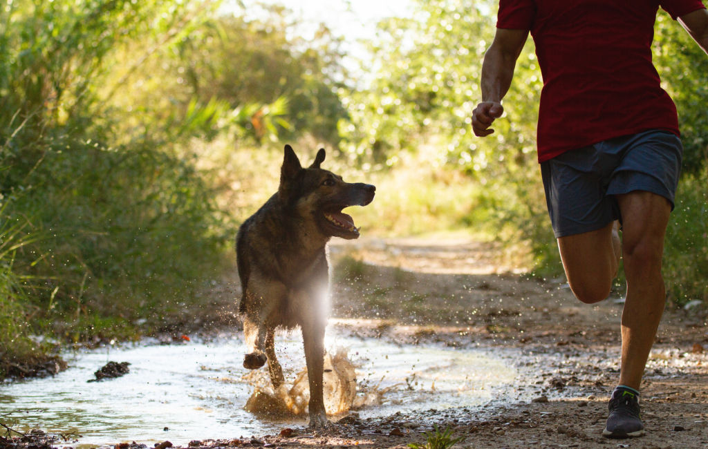 man running with dog