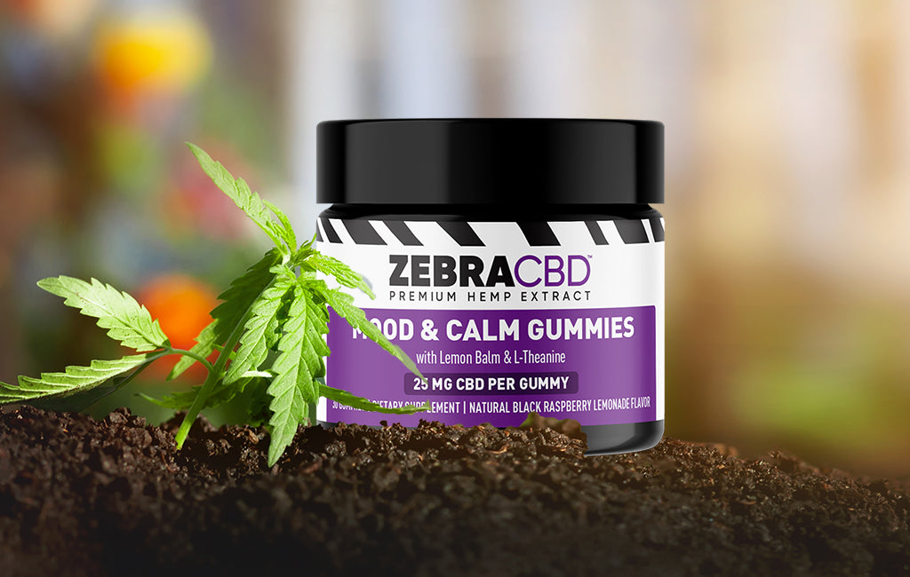 Zebra CBD Mood & Calm Gummies