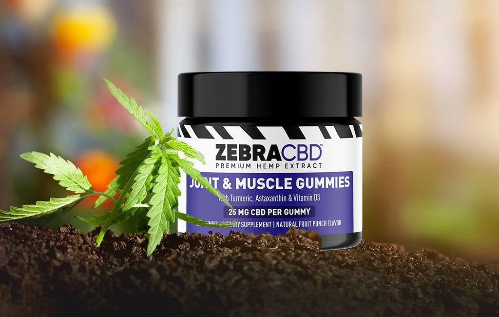Zebra CBD Joint & Muscle Gummies