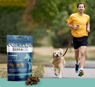 Zebra CBD chews and man running with dog