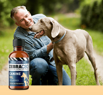 Zebra CBD canine oil and man with dog and