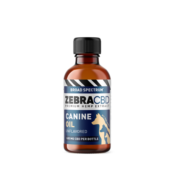 CBD Oil For Dogs