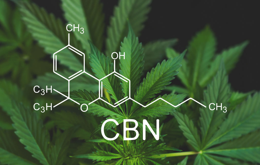 CBN vs CBD: What's the Difference? | Zebra CBD