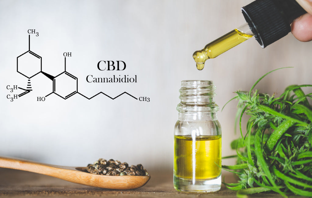 Hemp Seed Oil vs CBD Oil vs. Cannabis Oil - Zebra CBD