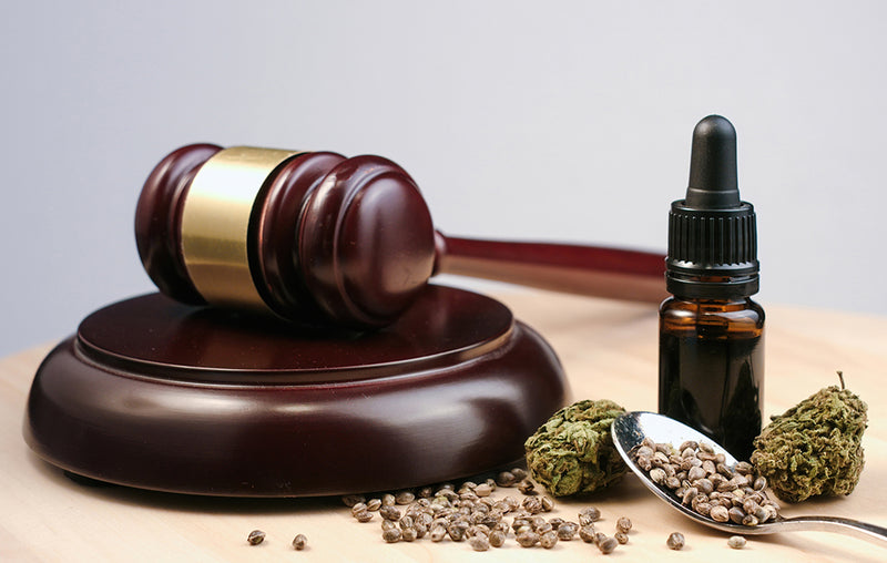 CBD Laws by State - Zebra CBD