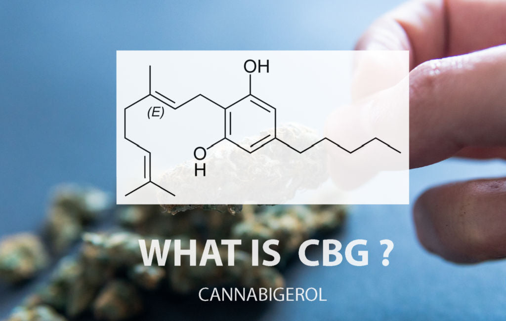 What Is CBG and How Can it Benefit You? - Zebra CBD