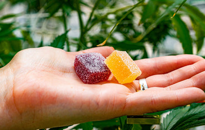 Denver Farms CBD Gummies 