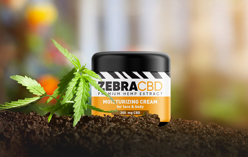 Hemp cream deals for face