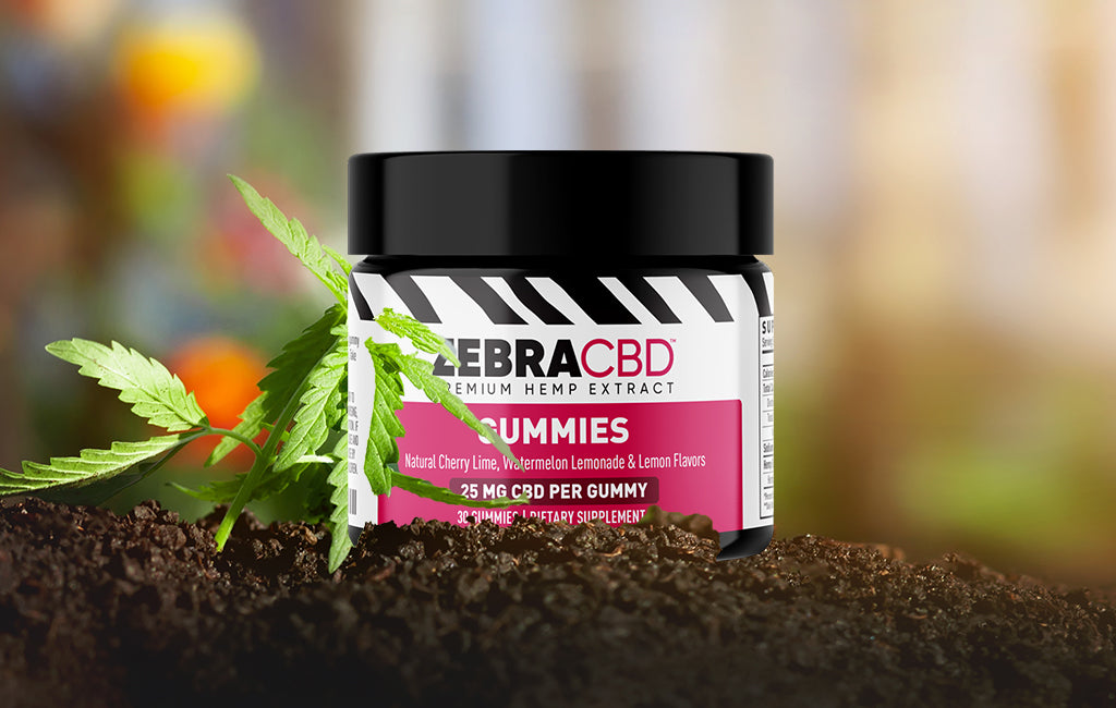 CBD Gummies Zebra CBD