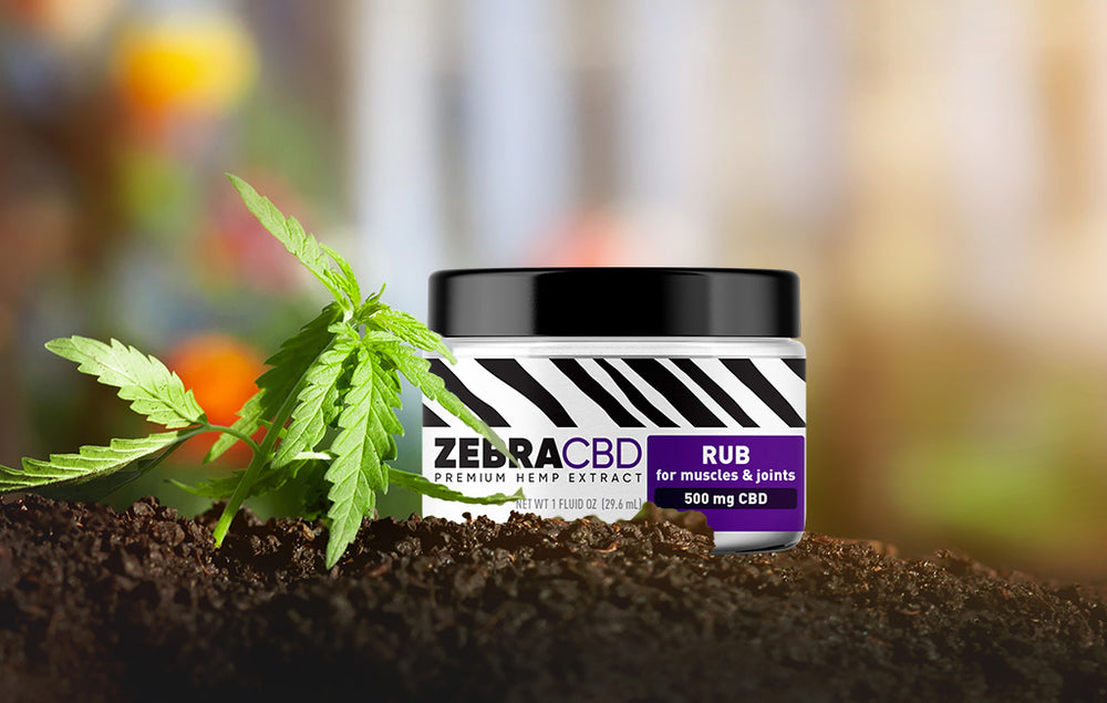 CBD Rub How It Works Zebra CBD