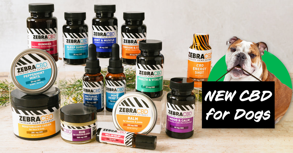 Zebra CBD | Buy CBD Online | Organic Hemp & CBD Products