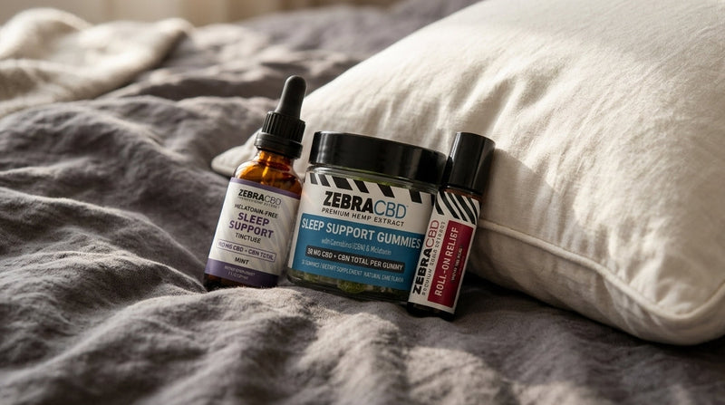 Sleep routine lifestyle