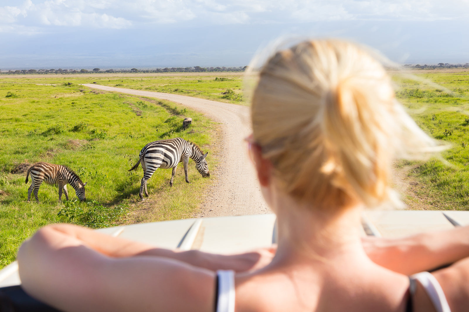 Zebra CBD image