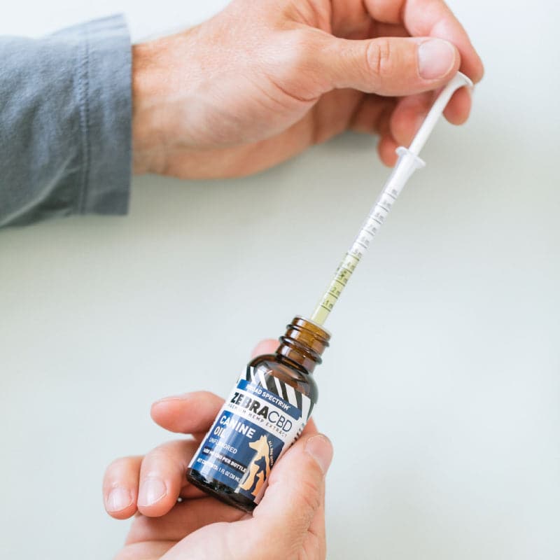 cbd oil for dog bottle with measuring syringe