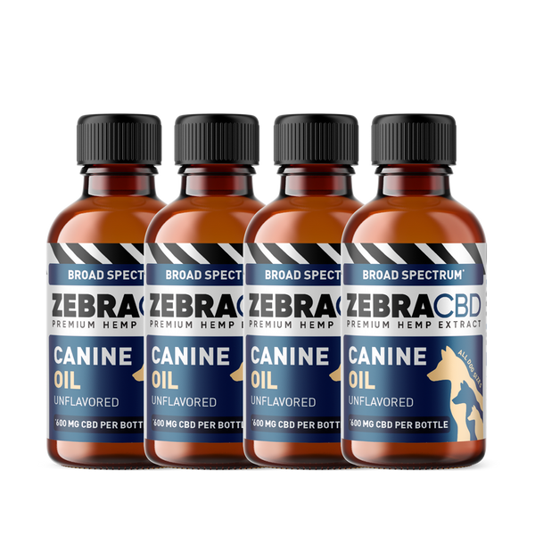 CBD Oil For Dogs (4)